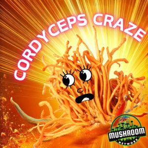 Cordyceps Craze - The Mushroom Network