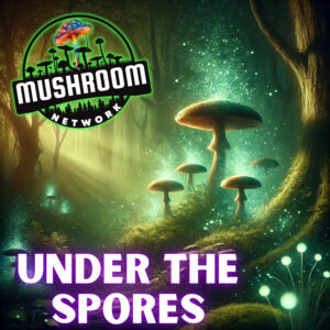 Under the Spores - The Mushroom Network