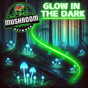 Glow in the Dark - The Mushroom Network