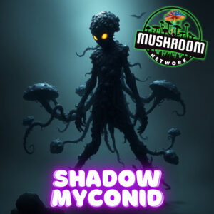 Shadow Myconid - The Mushroom Network