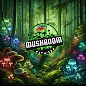 Under the Canopy (Secrets of the Forest) - The Mushroom Network
